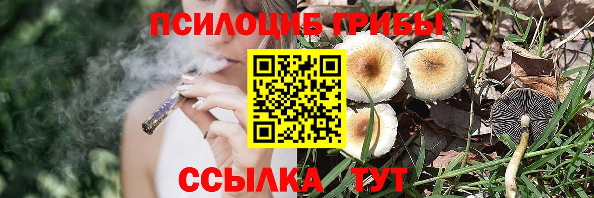 Галлюциногенные грибы мухоморы  Вход с VPN  Псилоцибиновые грибы Psilocybe  Ангарск 