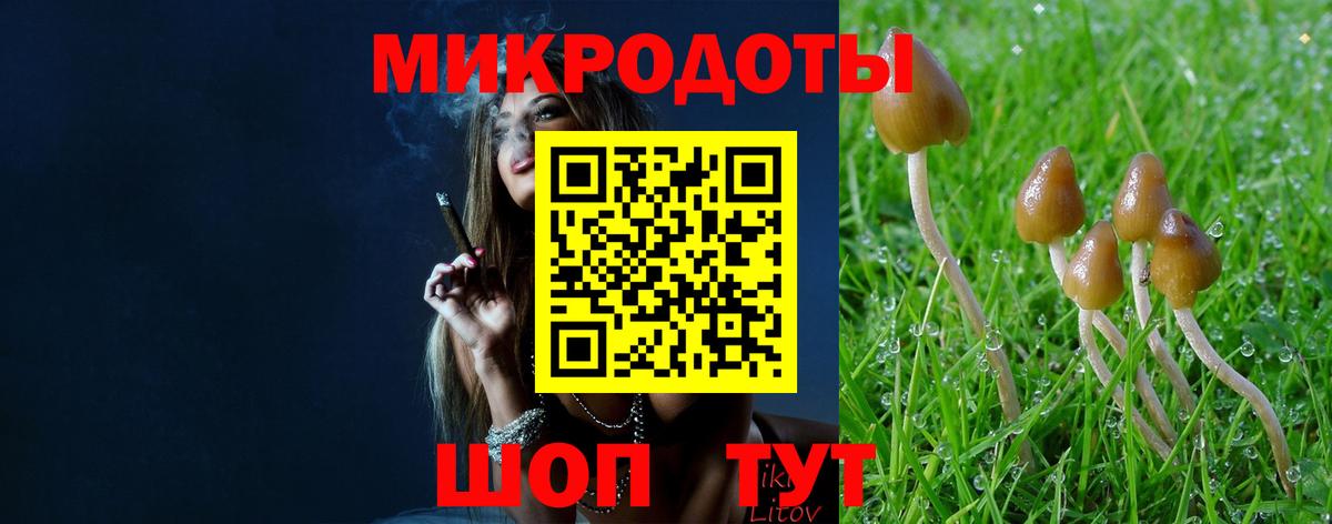Псилоцибиновые грибы Psilocybine cubensis Ангарск